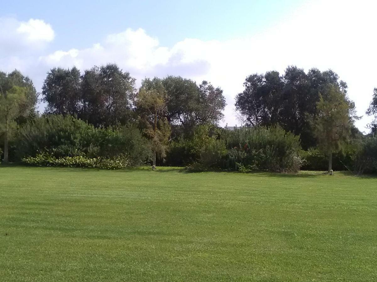 Casetta Vacanza In Campagna Aradeo Екстер'єр фото