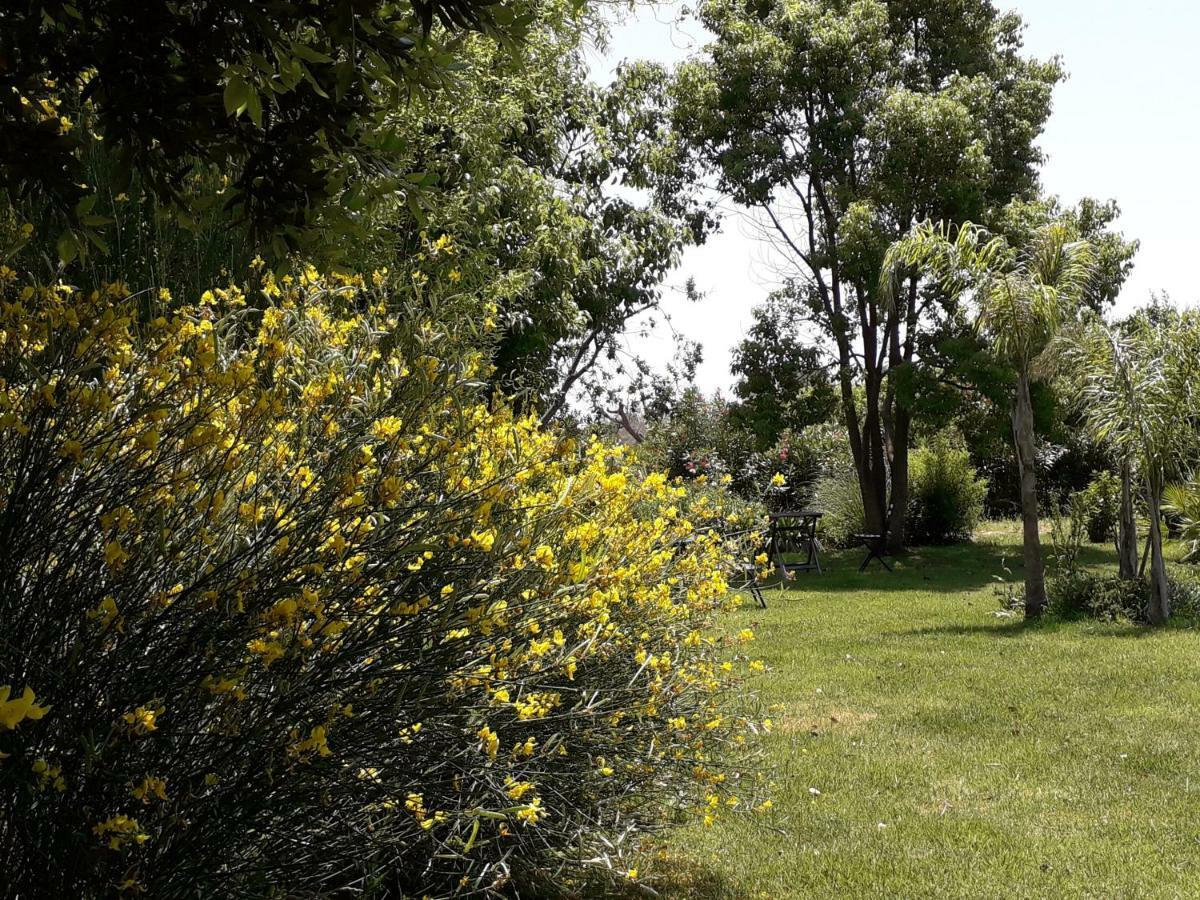 Casetta Vacanza In Campagna Aradeo Екстер'єр фото